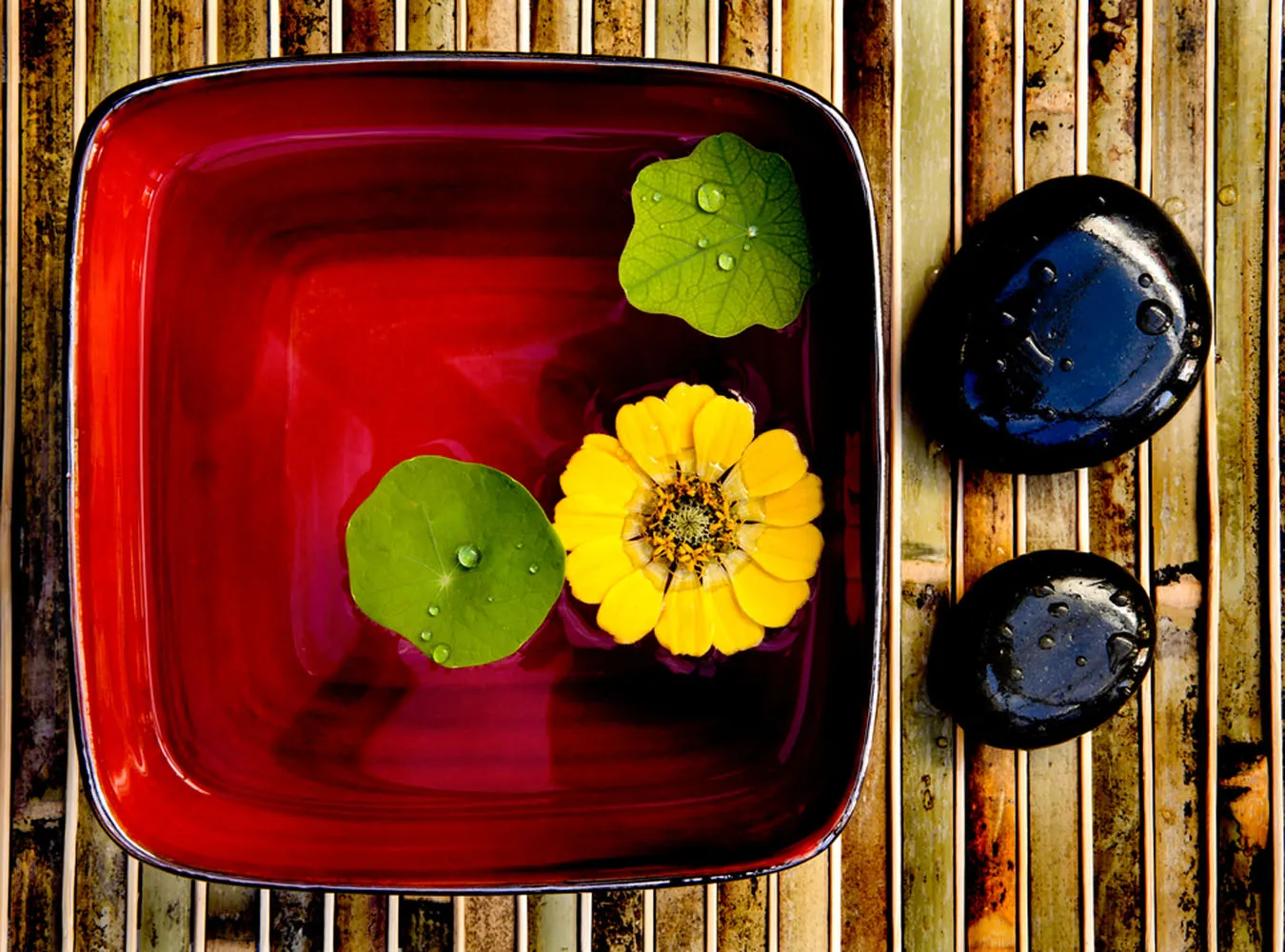 Feng shui pomaga płodności