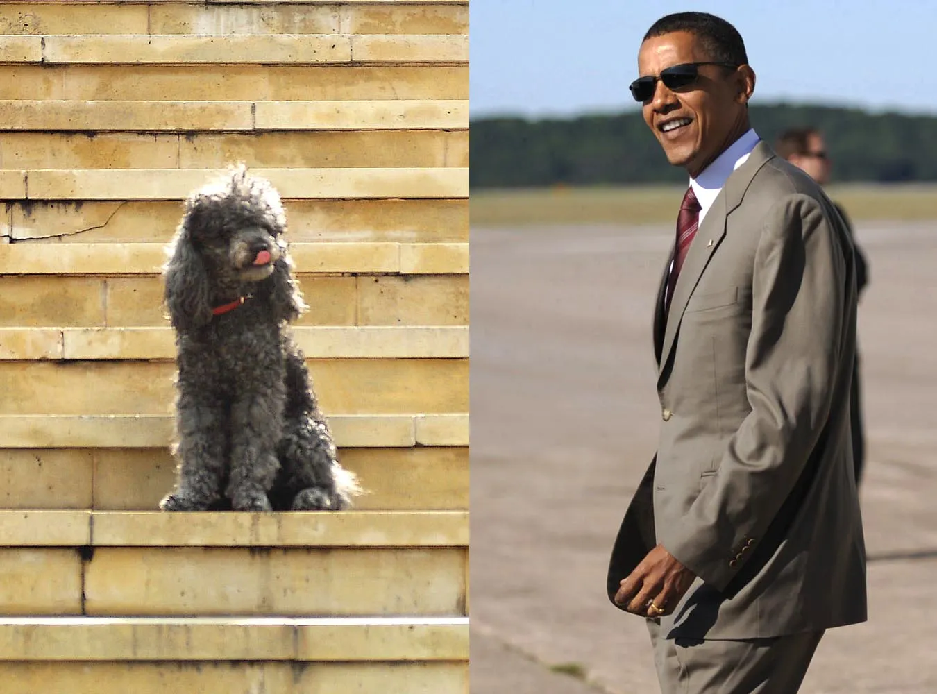 Obama srpawi sobie pudla