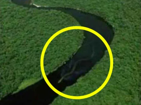 Sfotografowano rzecznego stwora