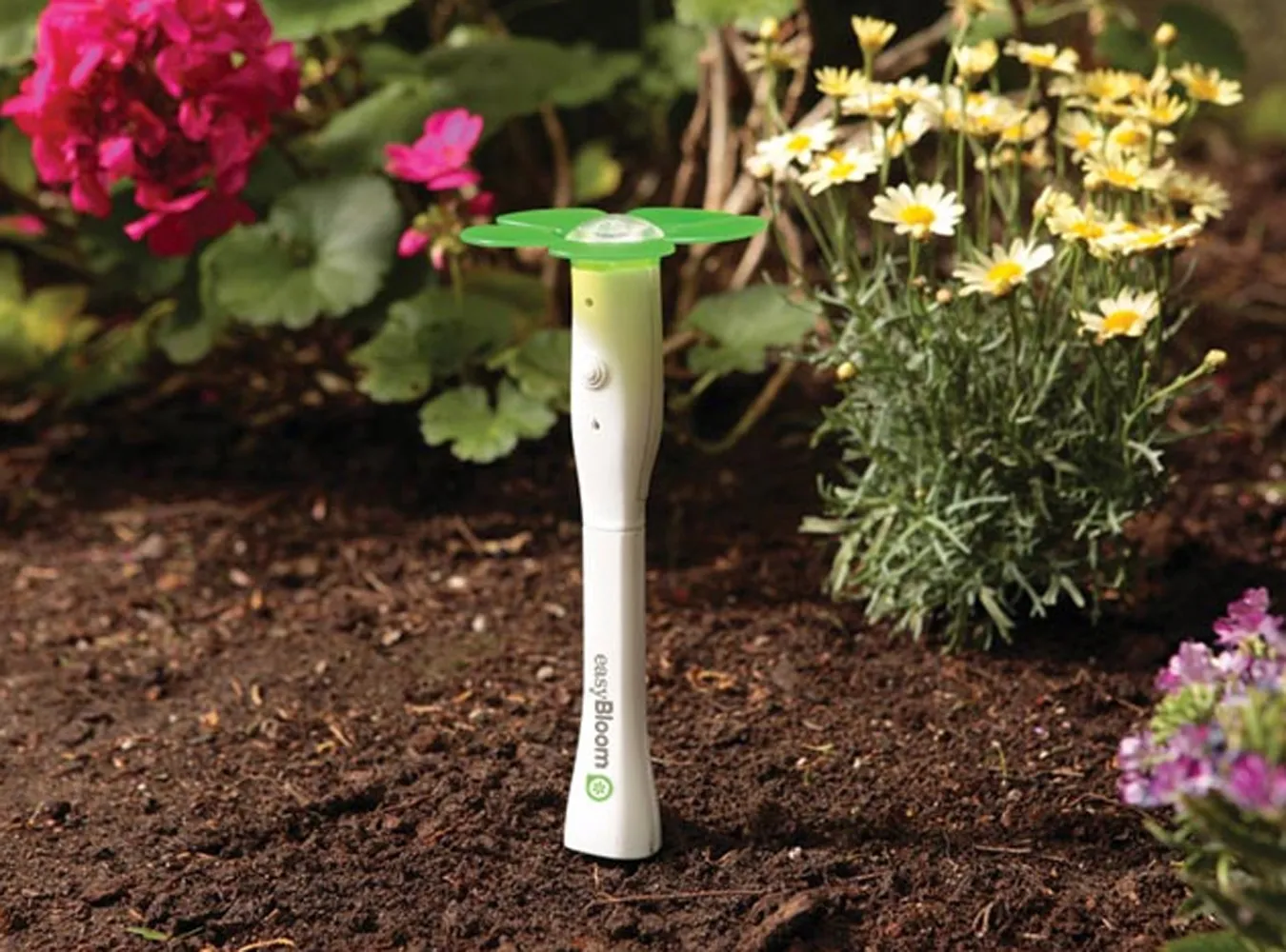 Lubisz hodować roślinki? To coś dla ciebie