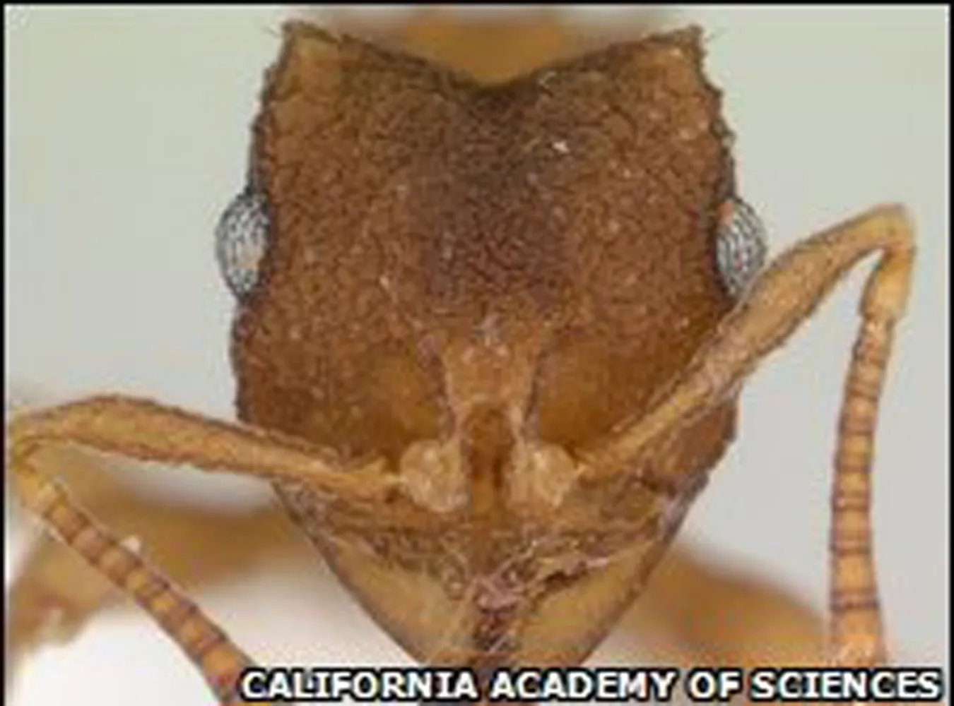 One żyją bez seksu