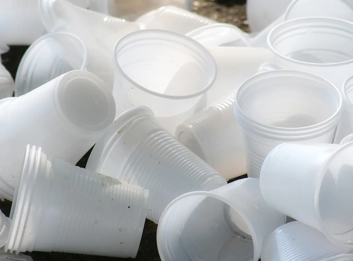 Biodegradowalna pokrywka na kubek z kawą