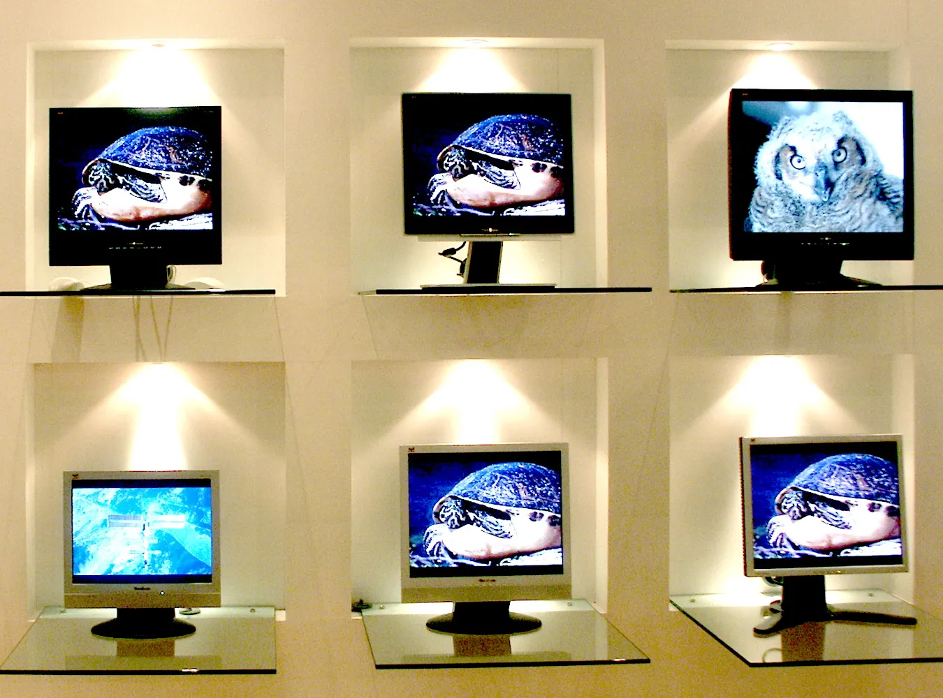 Ekrany TV powstaną dzięki plamom z kawy