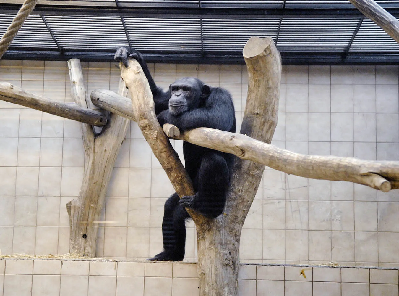 Zoo w czasach kryzysu