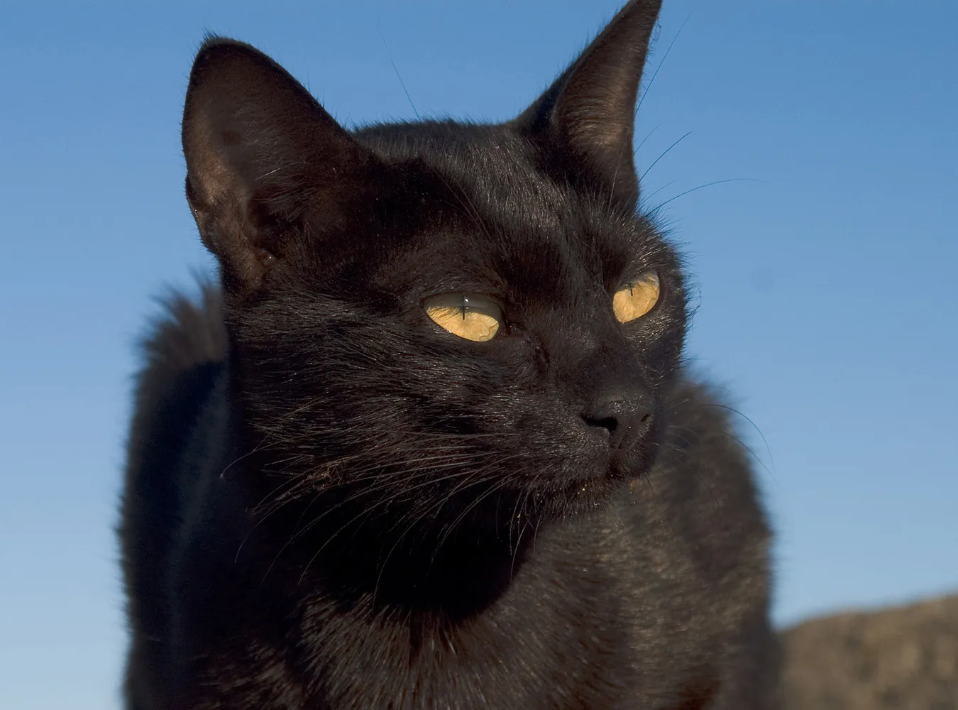 Dziś znów piątek 13. Nie za często?