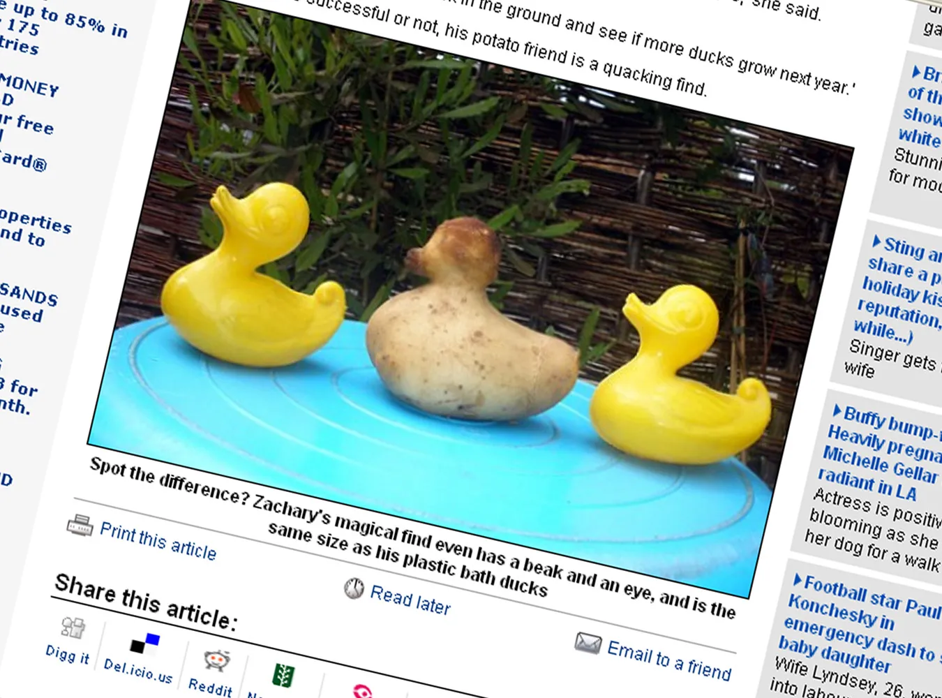 Takiego ziemniaka jeszcze nie widzieliście!