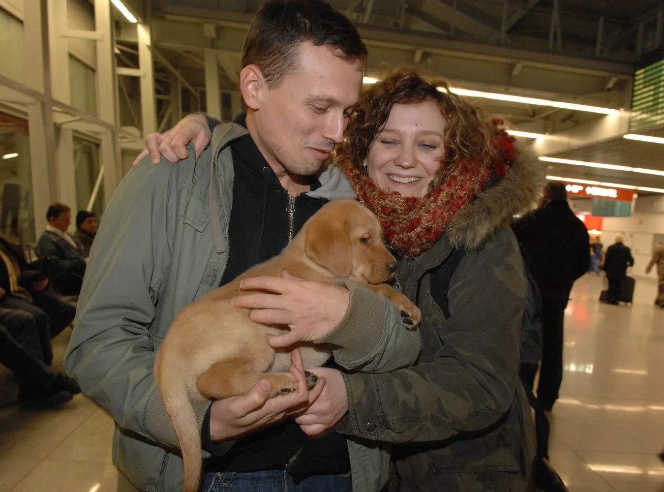 Pół miliona Polaków wraca do kraju