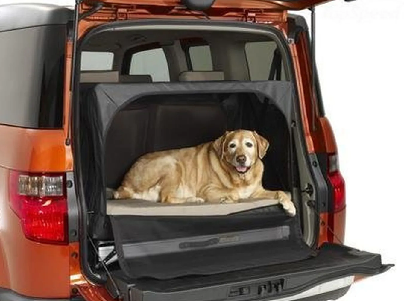 50 stopni w aucie, a ona zamknęła psy