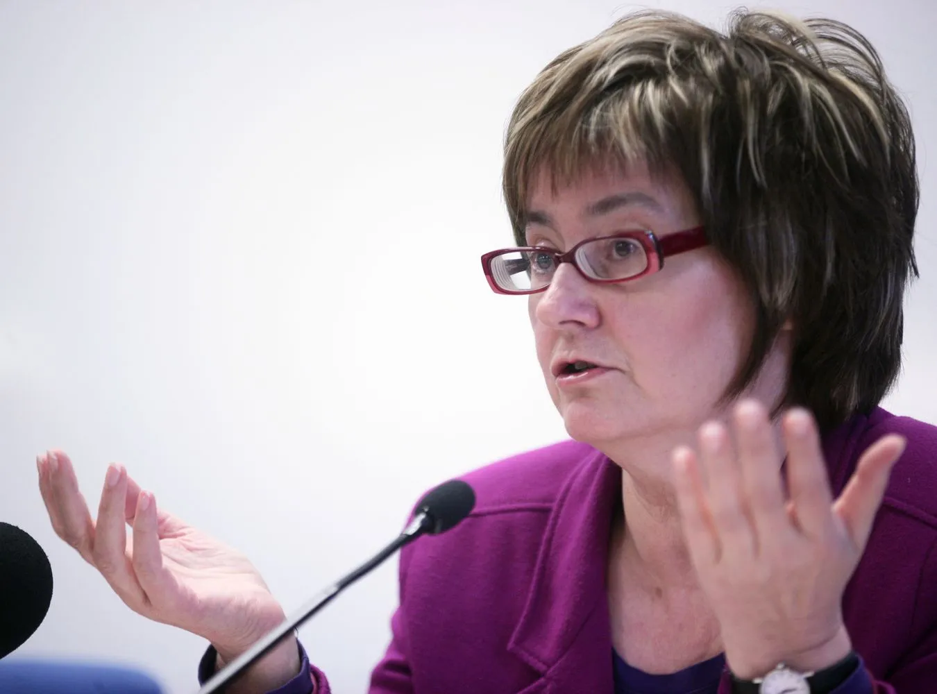 Irena Lipowicz zostanie Rzecznikiem Praw Obywatelskich