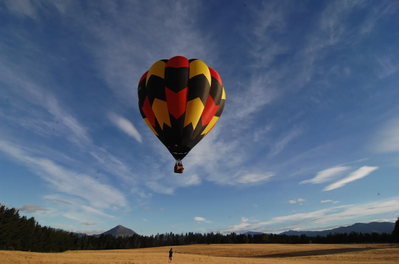 balloons_over_wanaka_38982a_84558.jpg