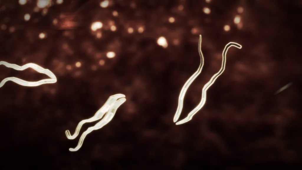 fr_trypanosoma_bruc_260460a_873007.jpg