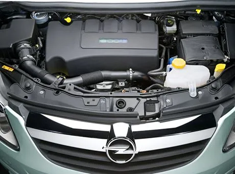 Setka corsą na kropelce…