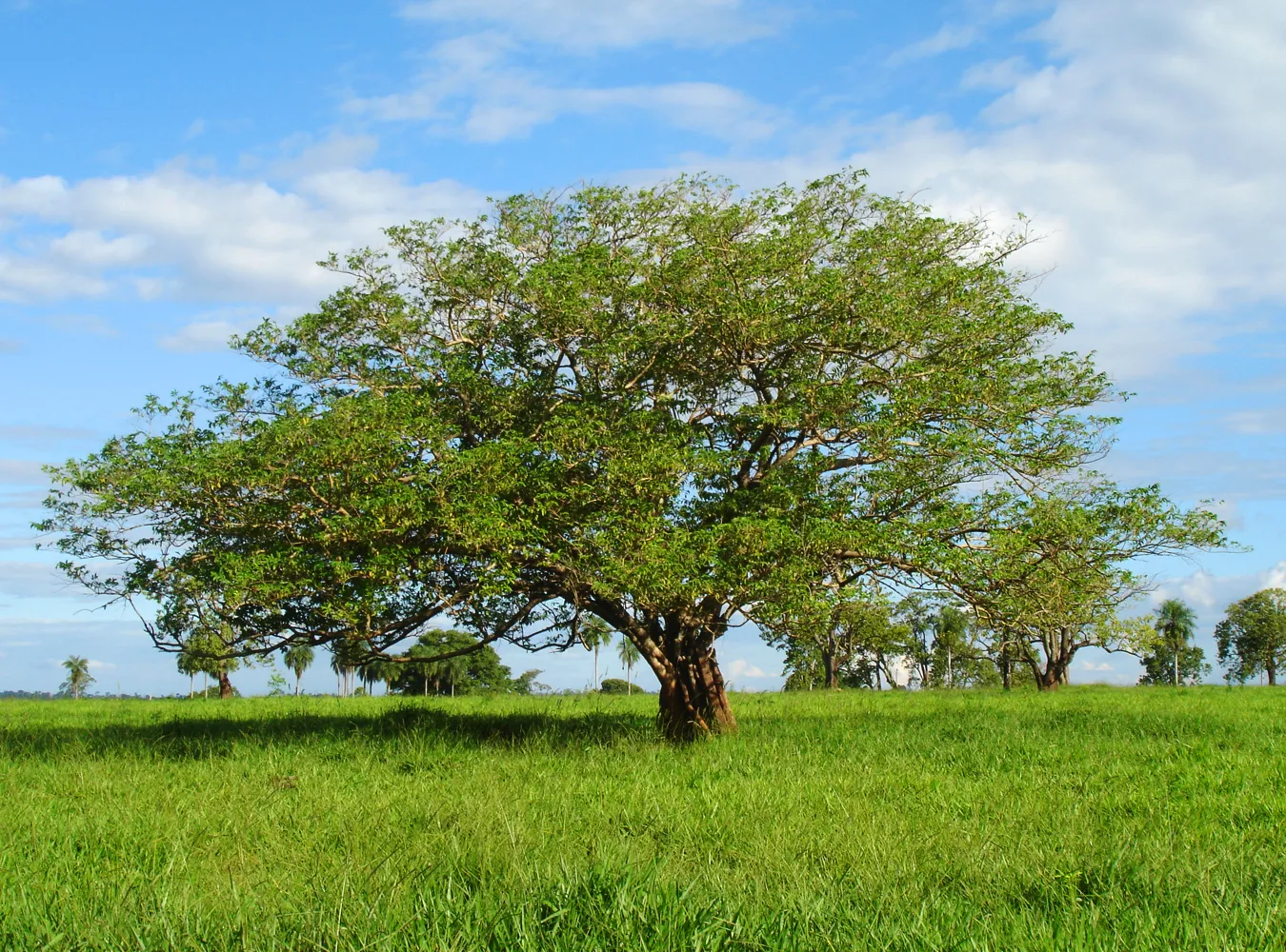 Już wiadomo, kto zapłaci za walkę z globalnym ociepleniem