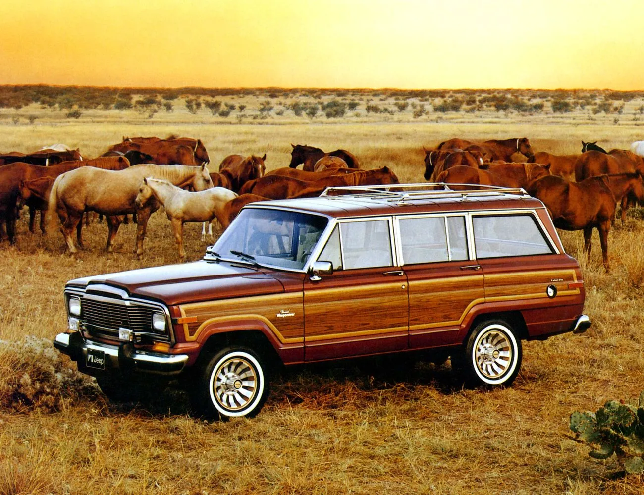 2577113-1984-jeep-grand-wagoneer.jpg