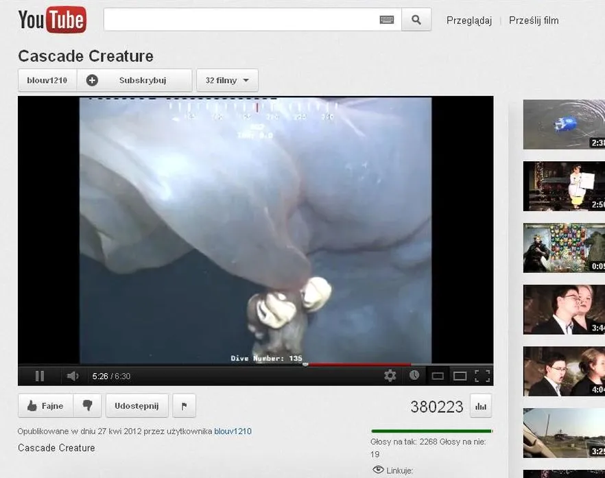 Co to jest?! Dziwny stwór znaleziony w głębinach