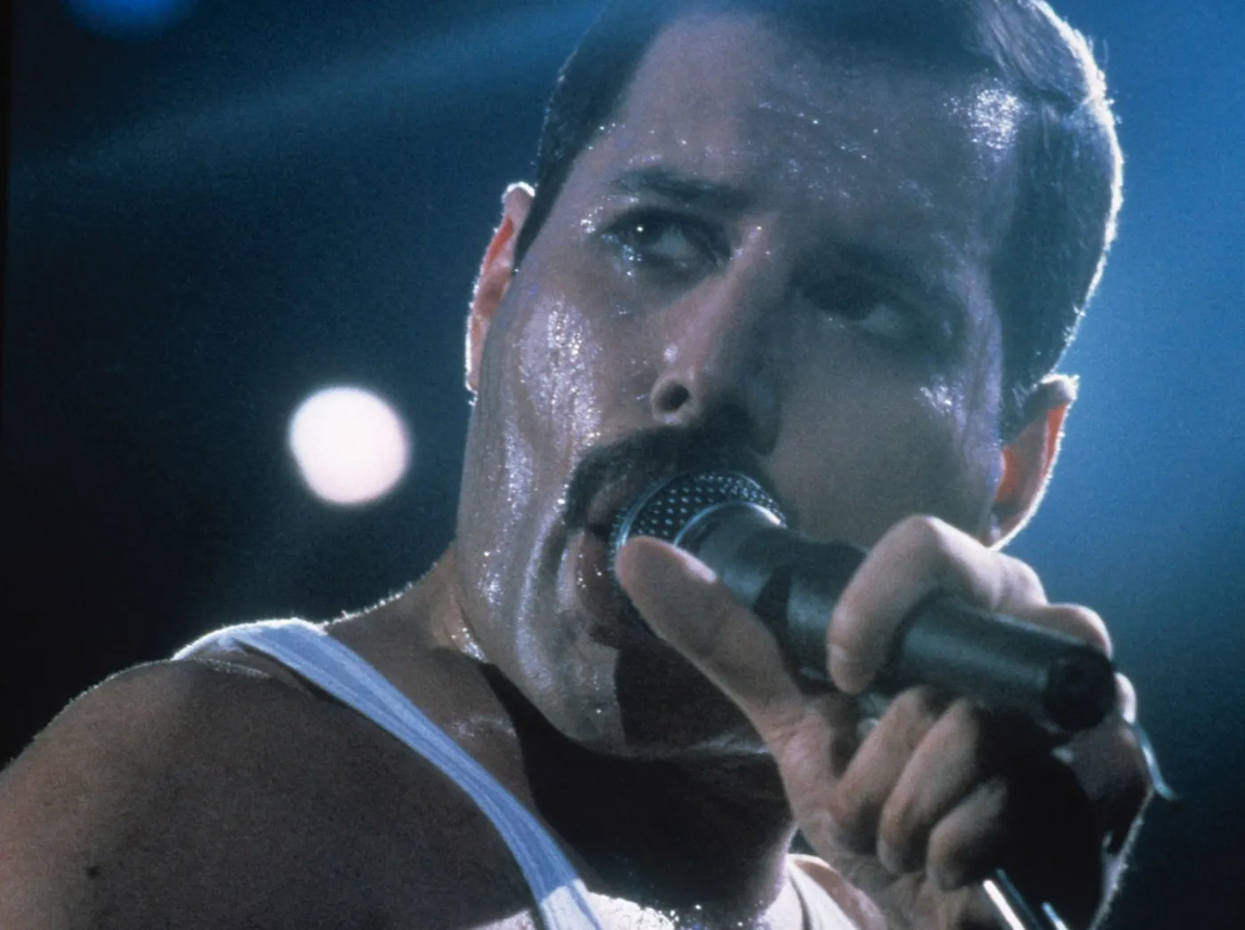 2766024-freddie-mercury-1946-1991.jpg