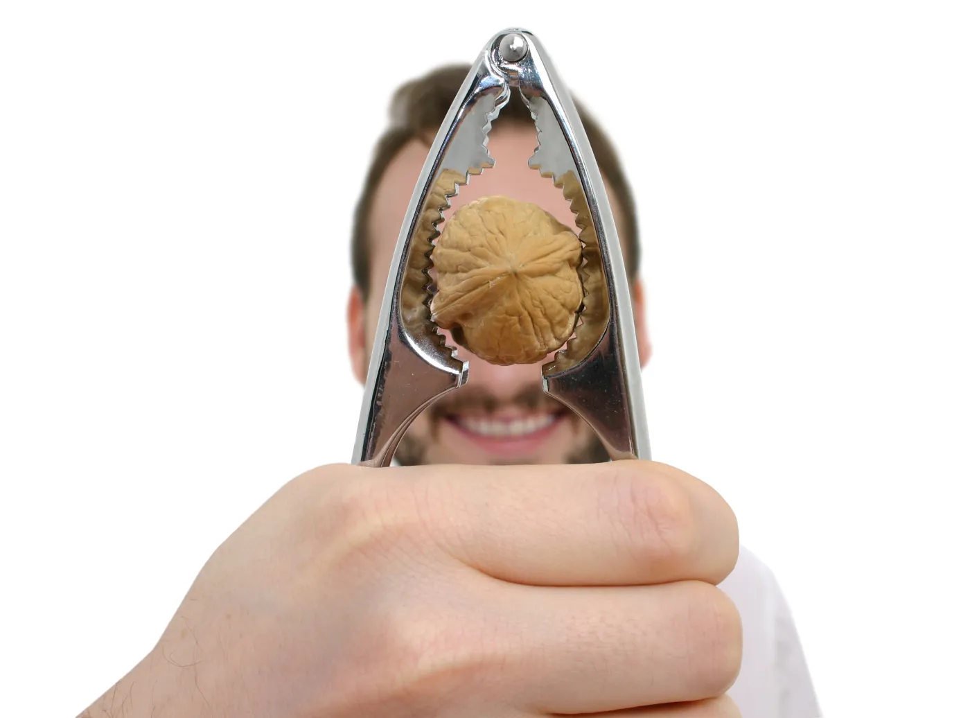 dziadek do orzechów orzech