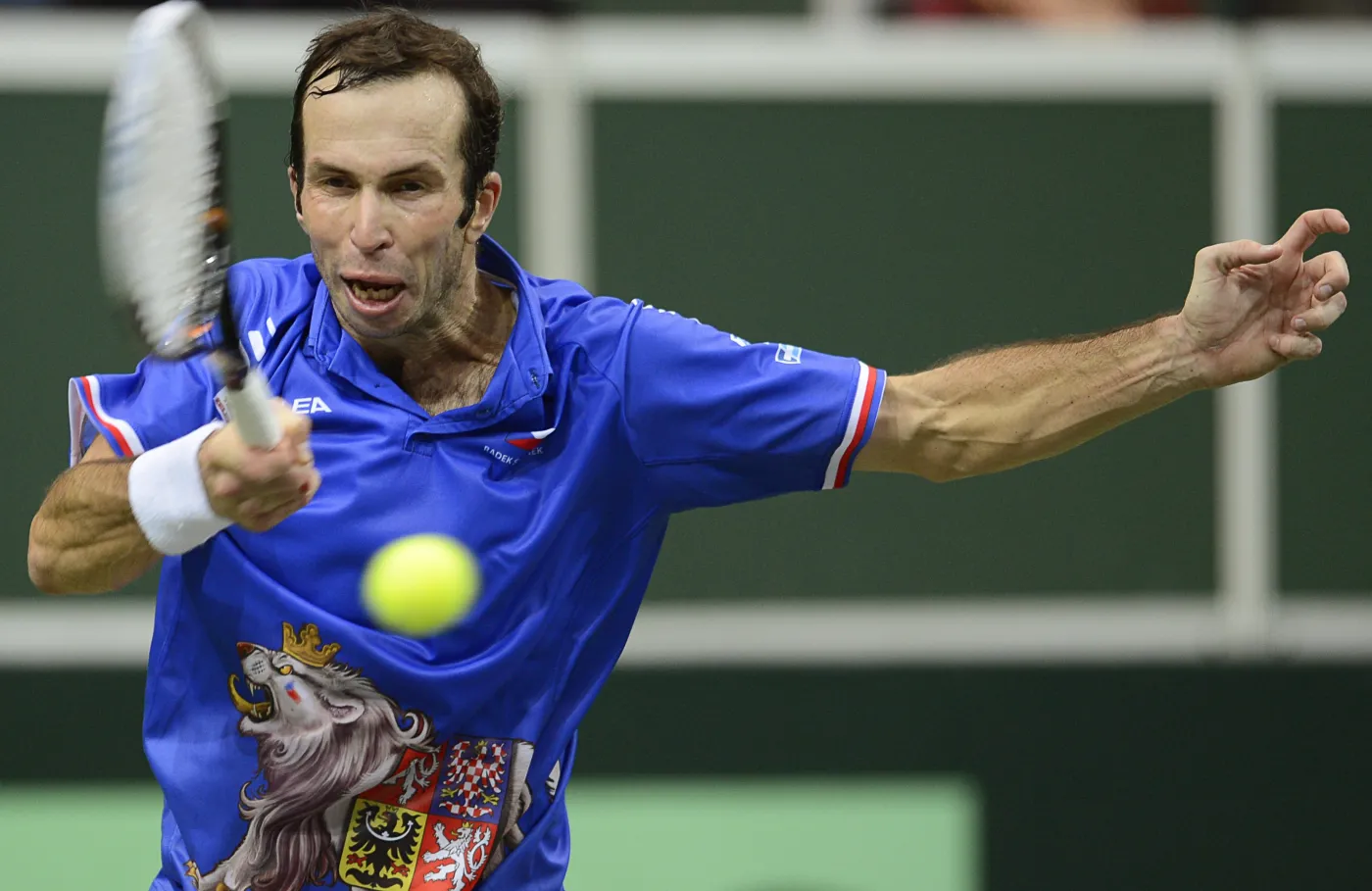Radek Stepanek na korcie