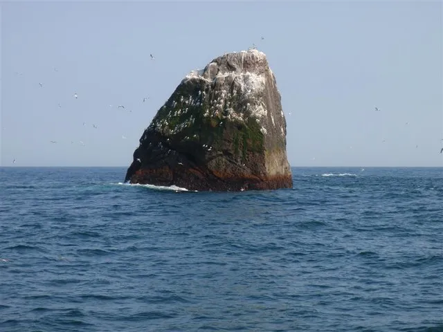 Skała Rockall na Atlantyku