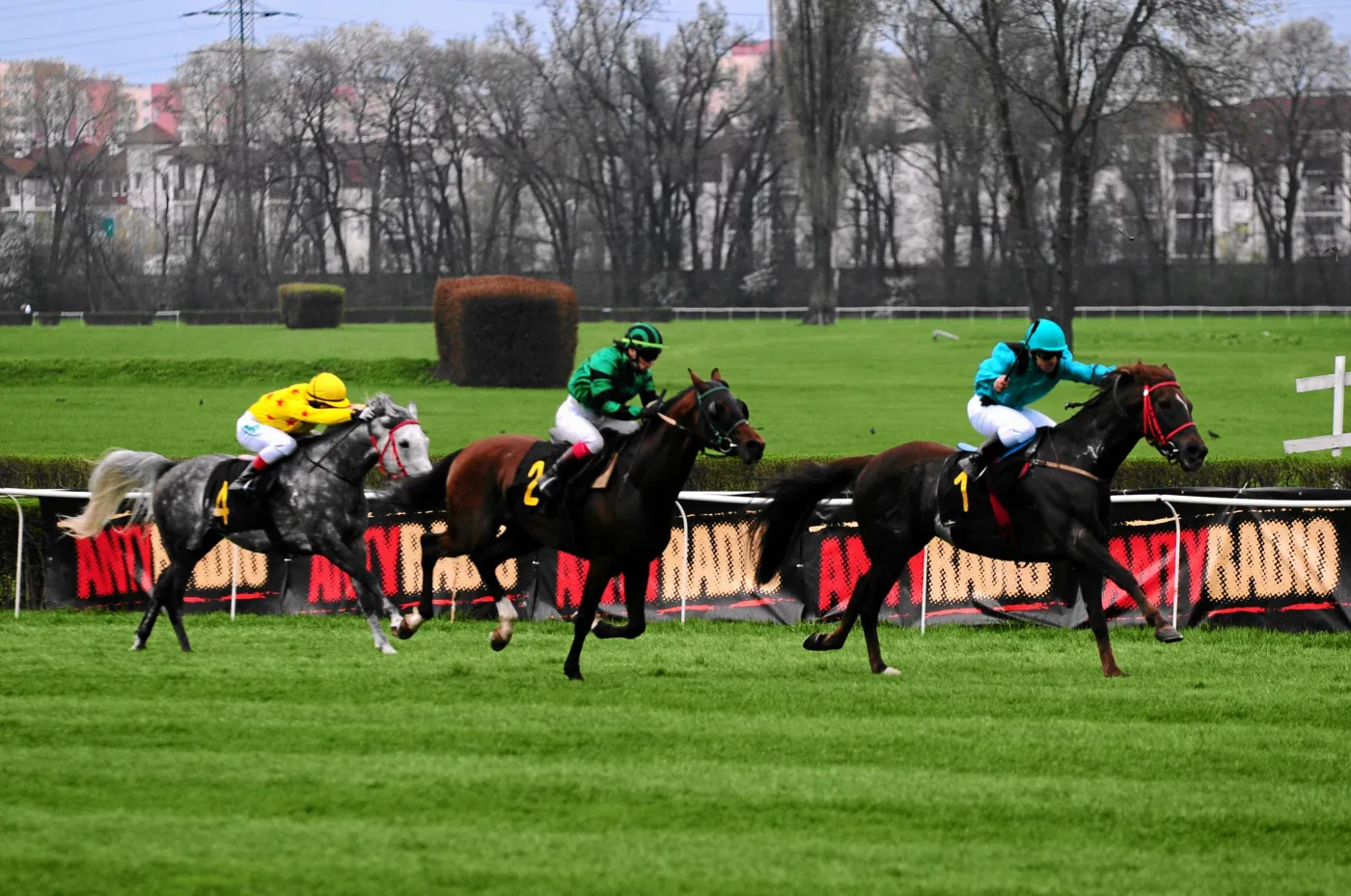 Zobacz, ile państwo traci na konnych wyścigach