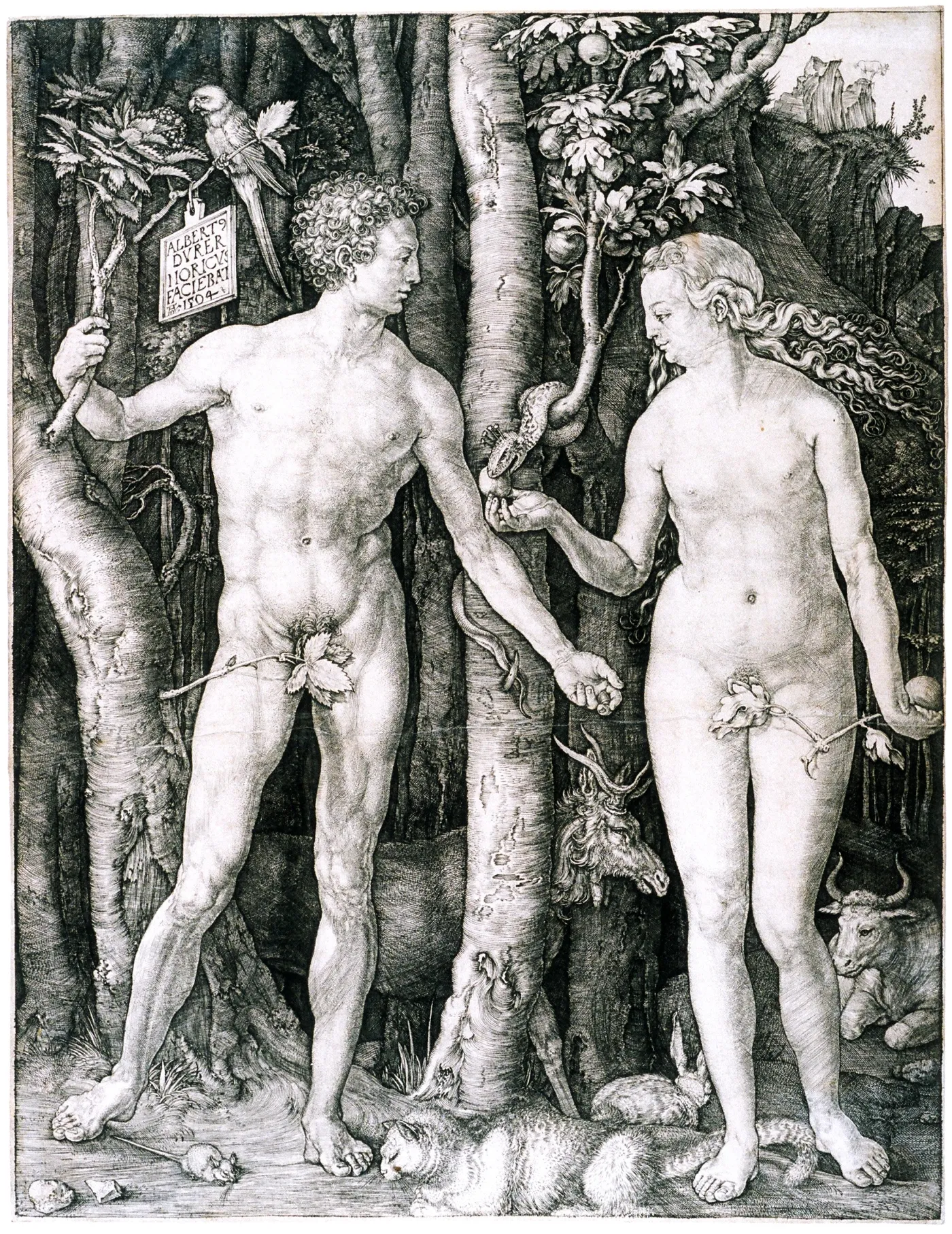 Albrecht Dürer, Adam i Ewa