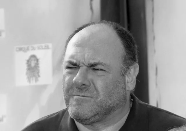 Nie żyje serialowy Tony Soprano. James Gandolfini zmarł we Włoszech