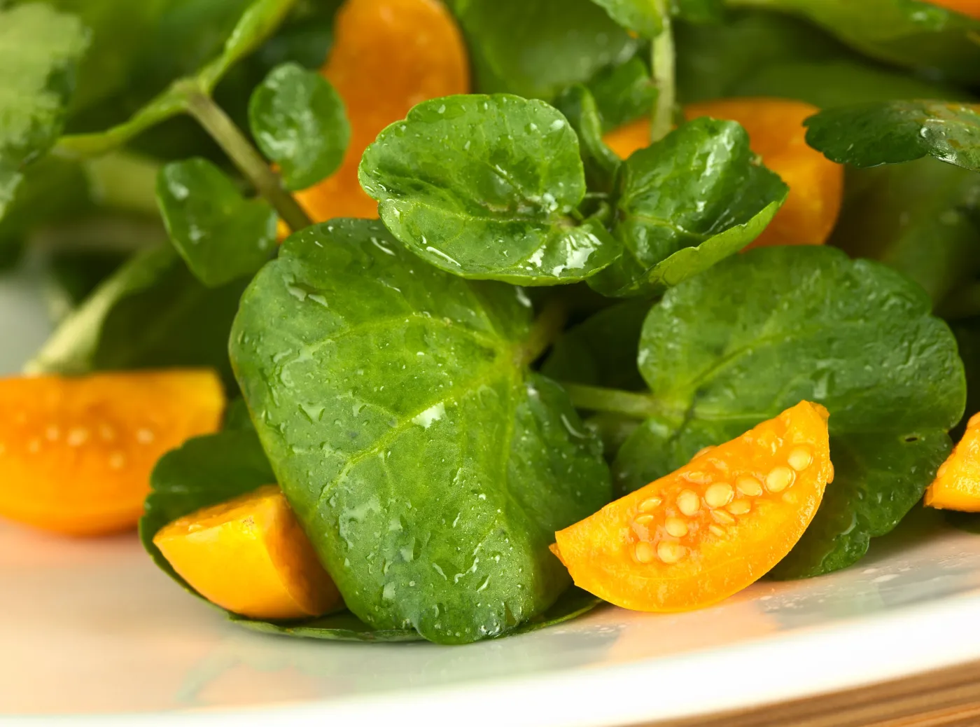 rukiew wodna sałatka dieta