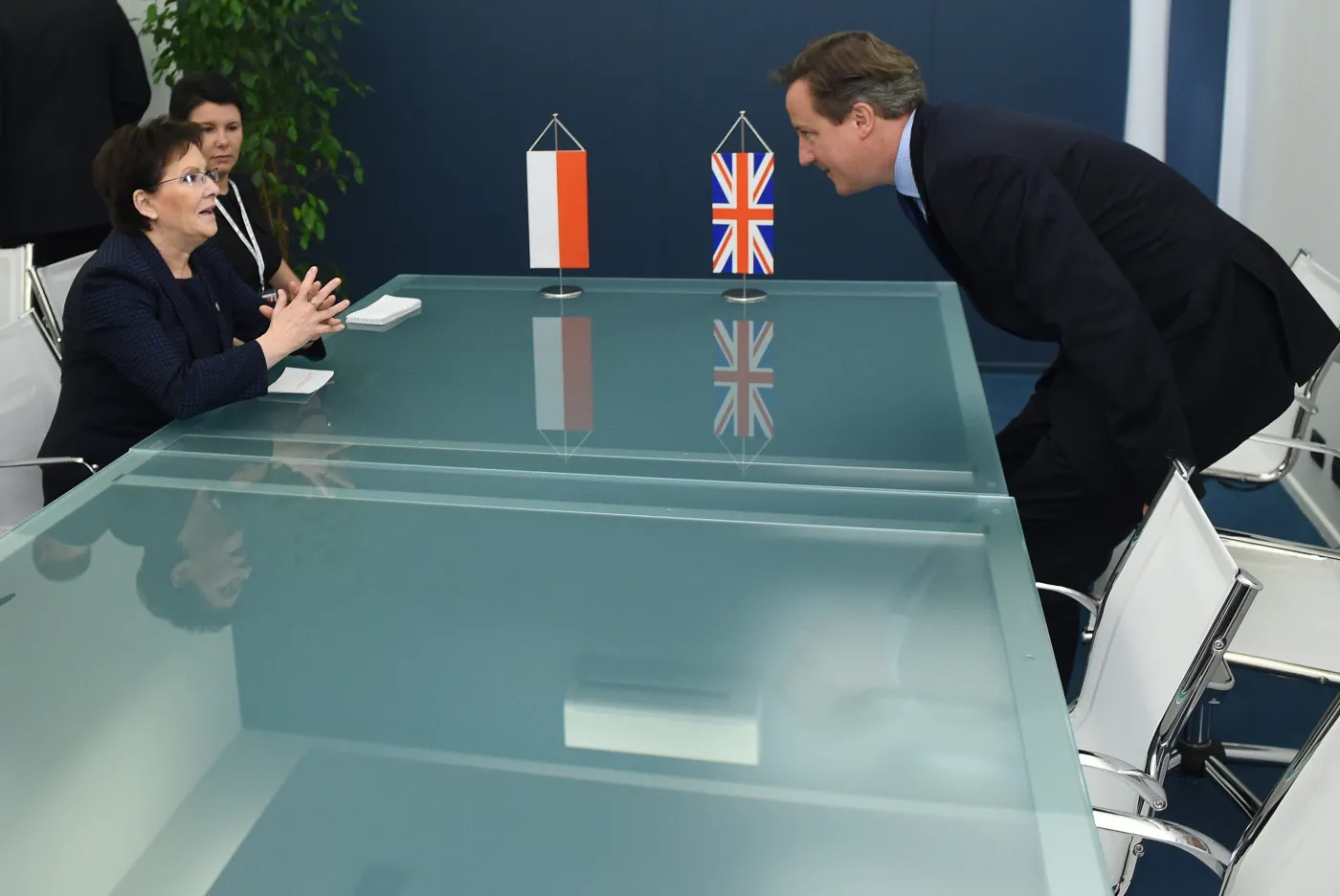 Ewa Kopacz i David Cameron