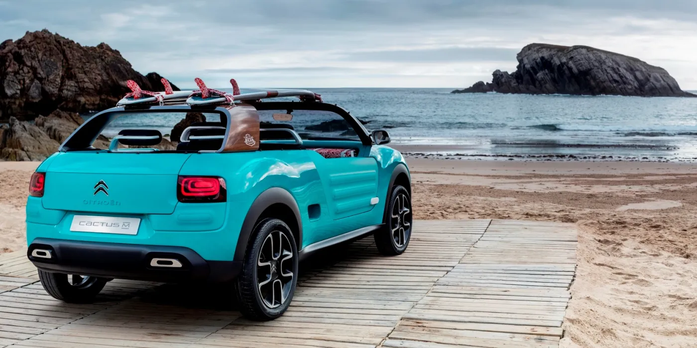 8166088-citroen-cactus-m-concept.jpg