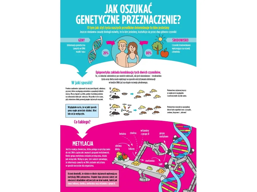 Jak dieta dziadków wpływa na wnuki? "Zaprogramuj" dziecko na zdrowe życie!