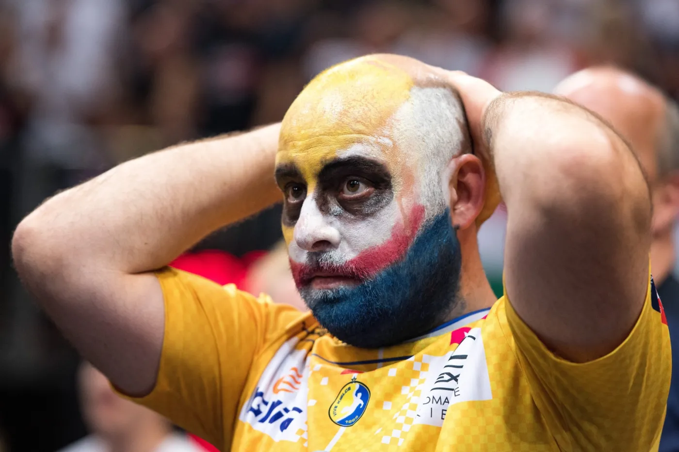 Kibic Vive Tauron Kielce