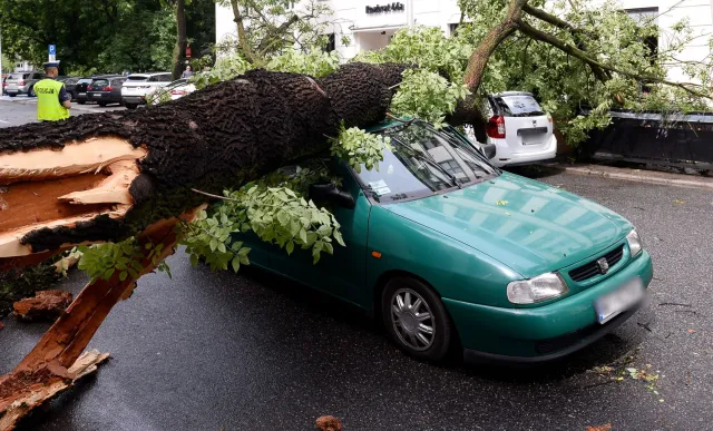 Powalone drzewa, zniszczone samochody, połamane gałęzie. Skutki nawałnicy w Warszawie