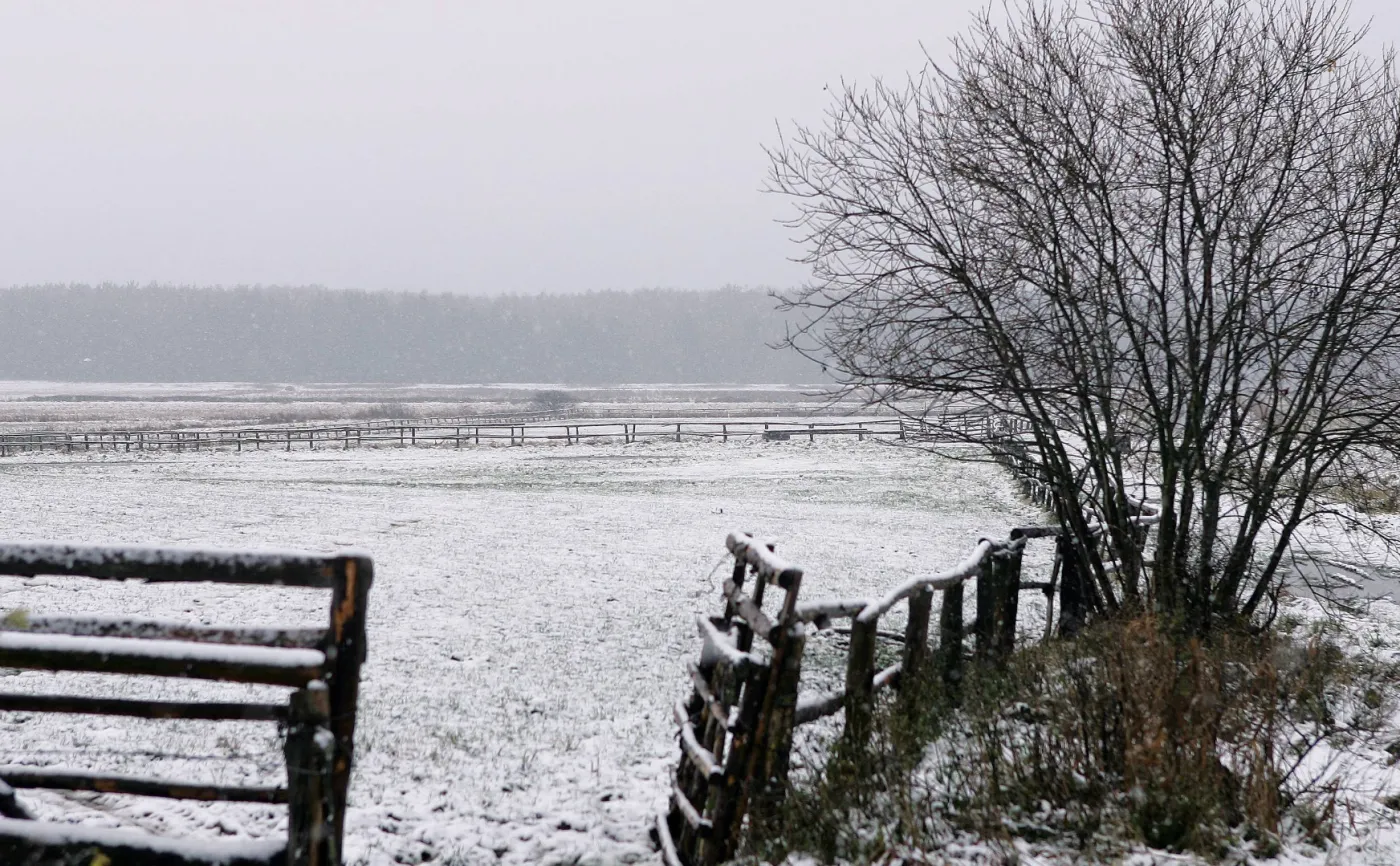 Licytacja majątku syna Leppera. Zabrakło chętnych na zakup dwóch działek