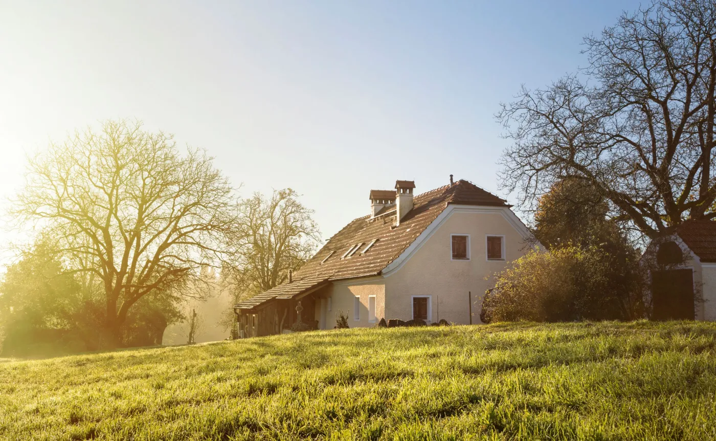 Ustawę pisano na szybko i teraz jest problem. Nie sprzedasz łatwo domu na działce z drzewami