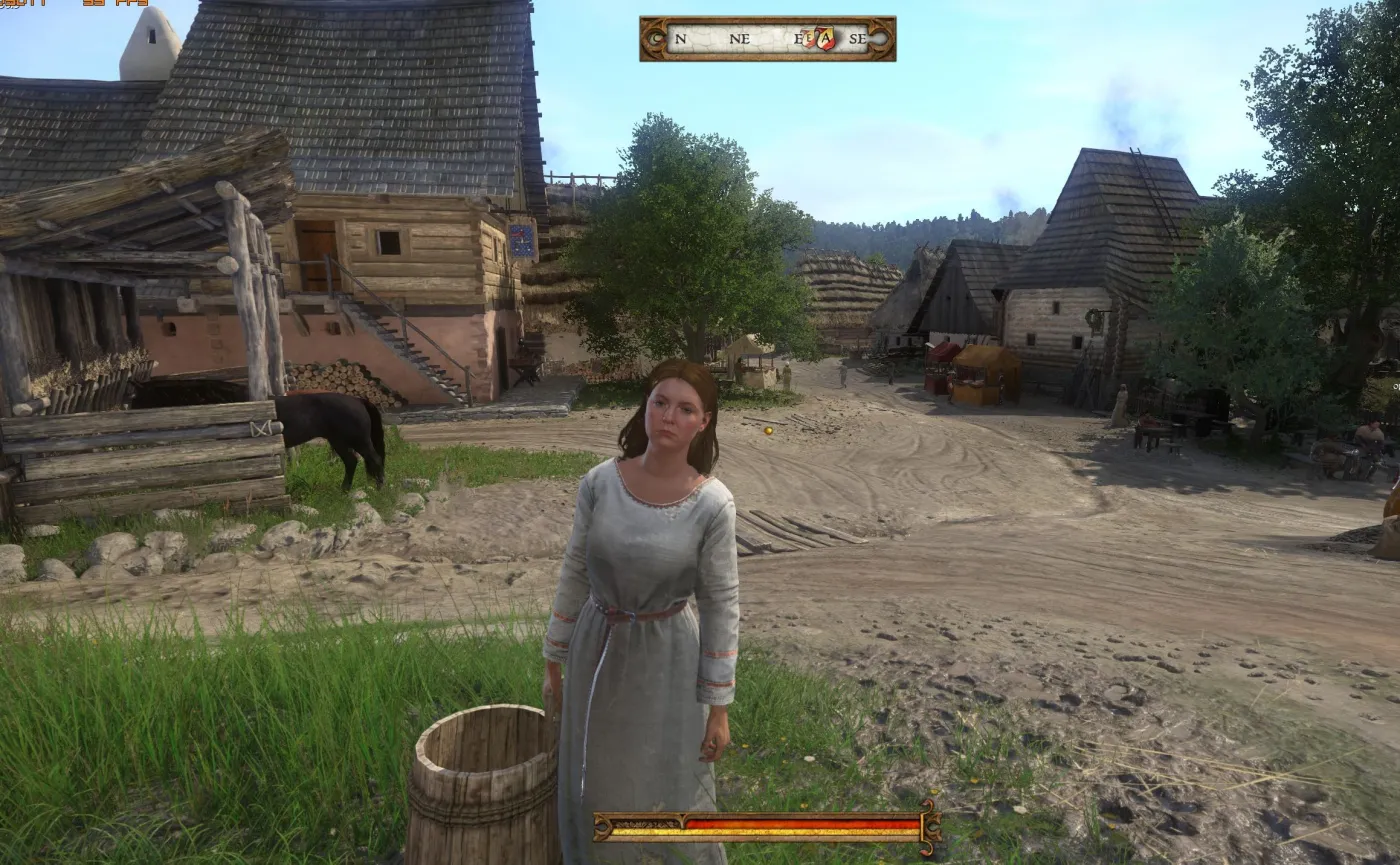 Kingdom Come: Deliverance