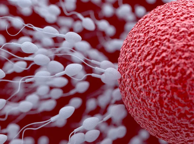 "Jest populacyjne pogorszenie parametrów nasienia". Coraz więcej Polaków ma problem z płodnością