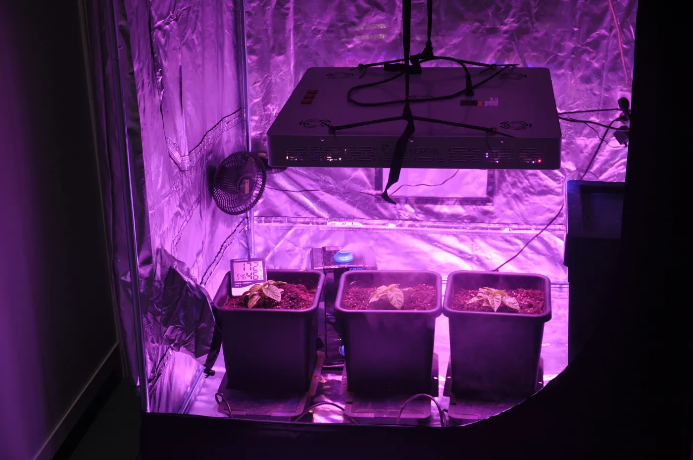 Zestaw do hodowli roślin