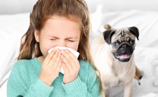 Dziecko z alergią nie powinno być trzymane pod kloszem