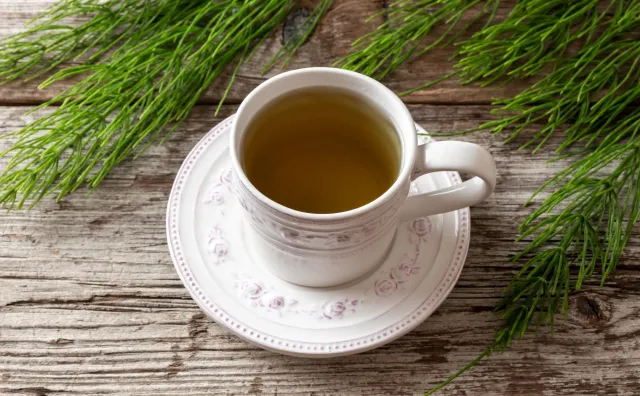 Skrzyp polny - źródło cennej krzemionki