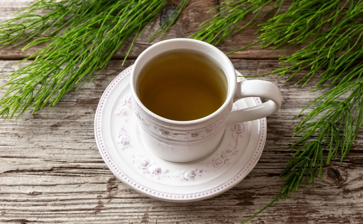 Napar ze skrzypu polnego