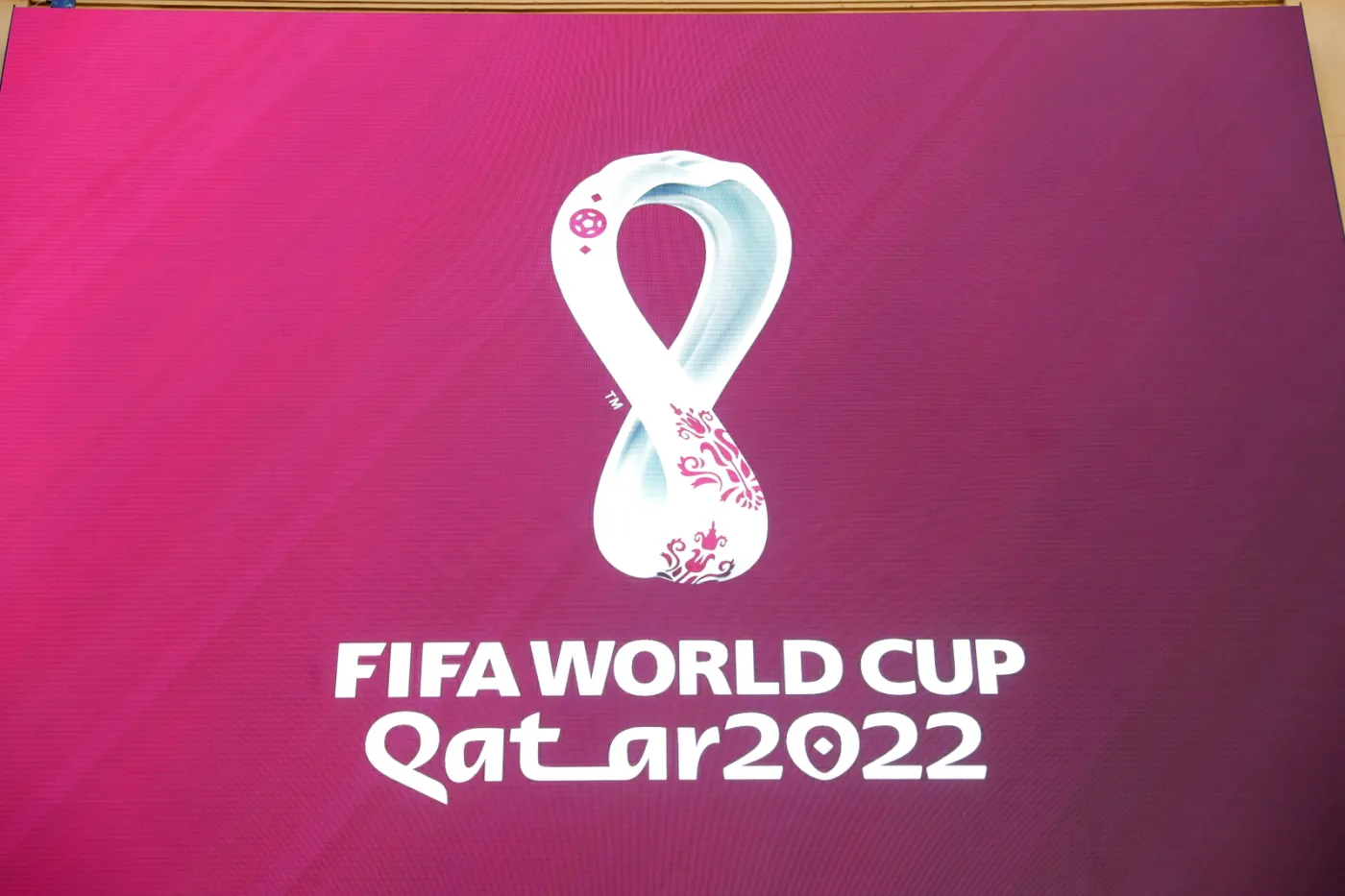 FIFA Qatar 2022 World Cup