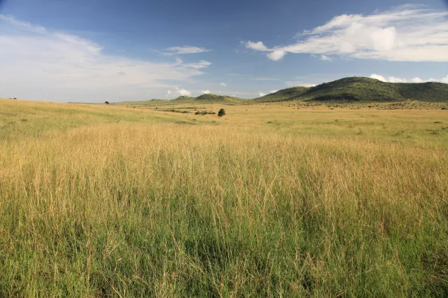 DGP na Dzień Dziecka. Jak pandemia wpłynęła na środowisko?