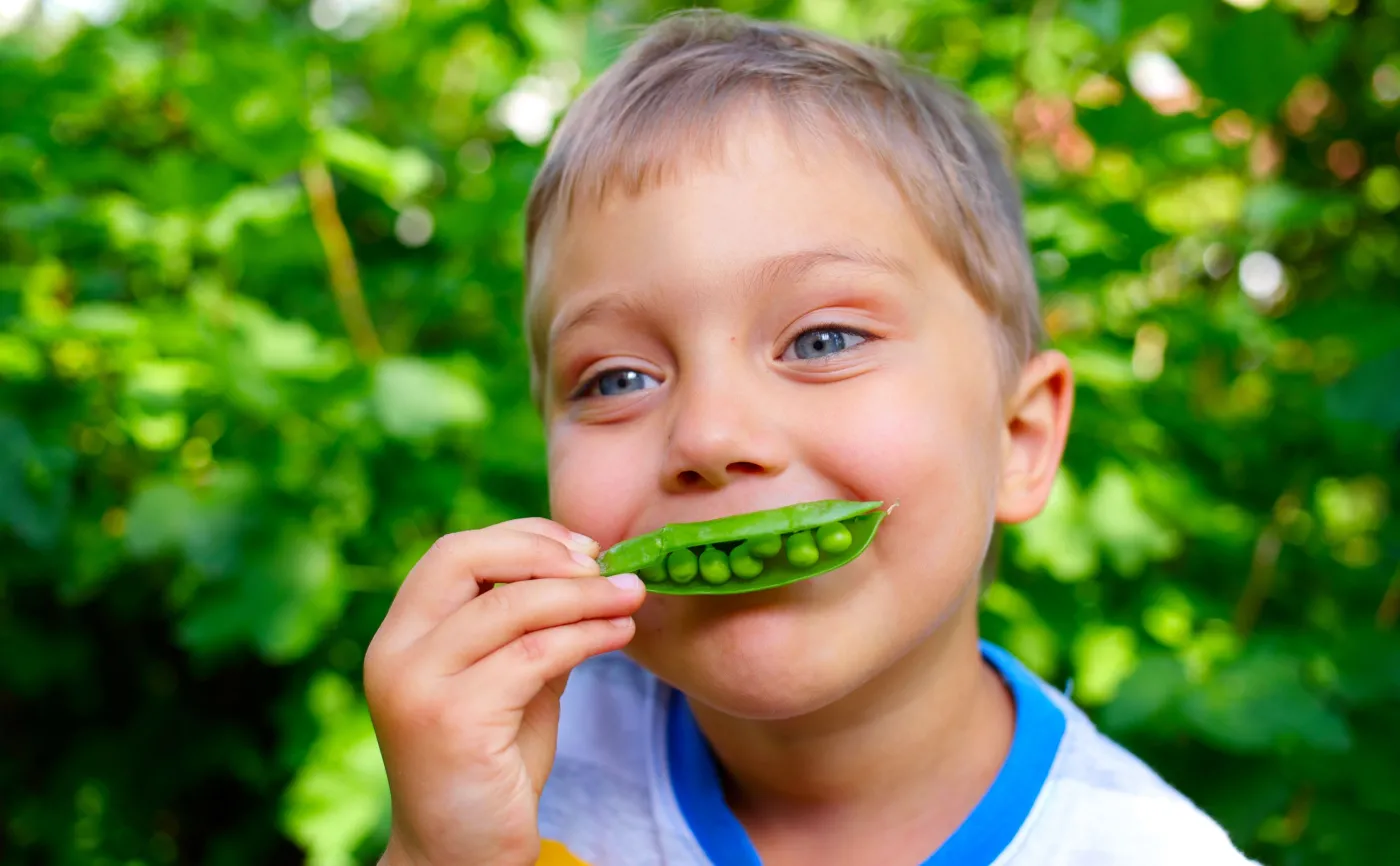 Chłopiec trzyma groszek