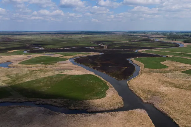 Weto dla trasy Via Carpatia na bagnach. "Skończy się awanturą na szczeblu europejskim"