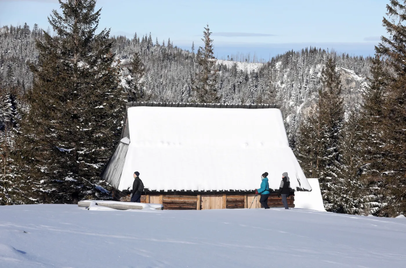 Górali nie tykały się ani sanacja, ani III Rzesza. Rząd PiS jest najodważniejszą władzą