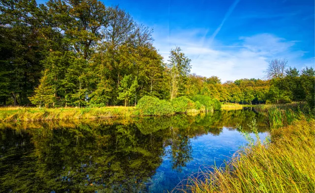 Rzeka uzyskała osobowość prawną. Może "swobodnie płynąć" i być reprezentowana przed sądem