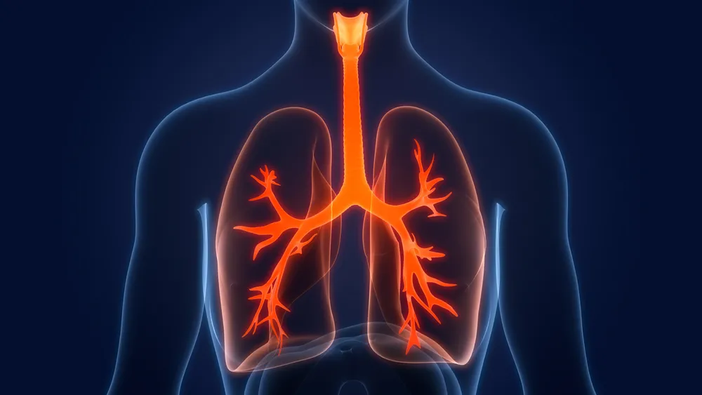 Nie lekceważ zapalenia płuc. Jak chronić się przed zakażeniem pneumokokami?