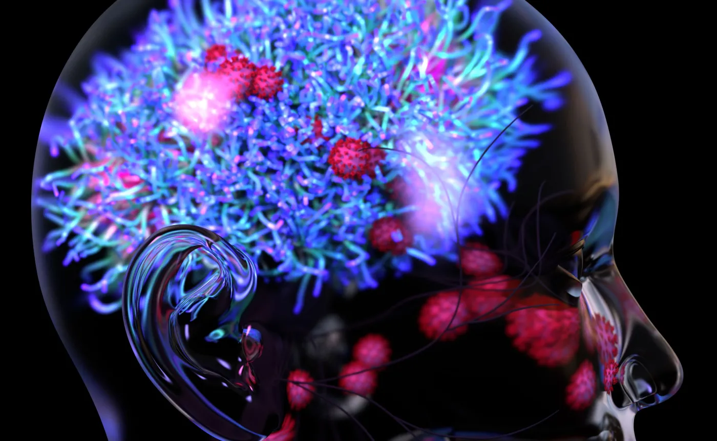 Geny pradawnych wirusów chronią mózg przed nowymi infekcjami