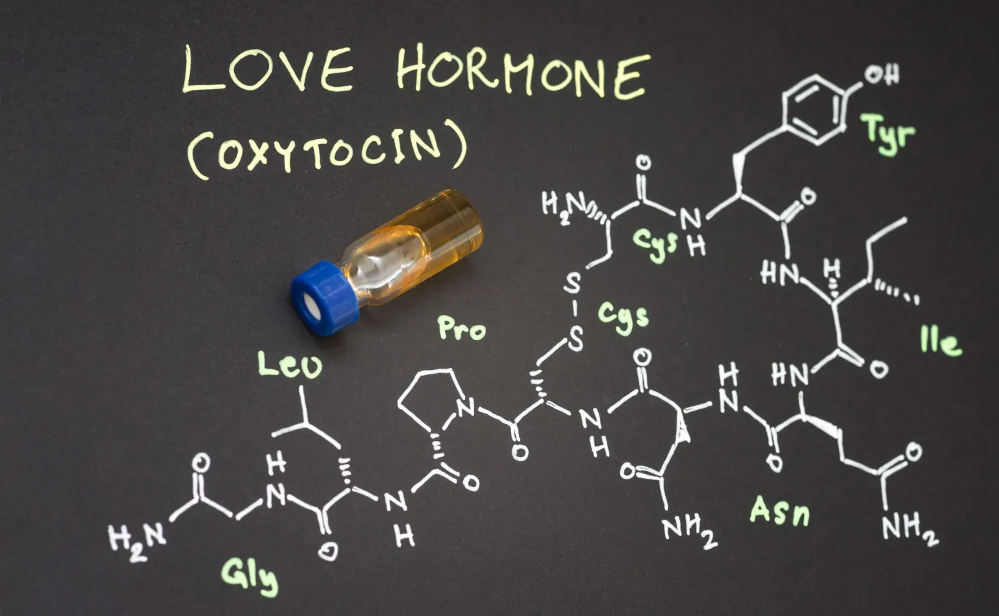 Hormon miłości może leczyć serce. Niezwykłe działanie oksytocyny