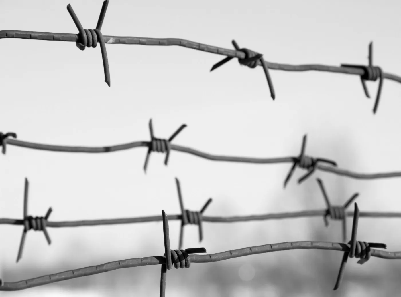 Czego Grabowski nie napisał. Instytut Pileckiego odnalazł dokumenty, które władze PRL przekazywały RFN